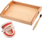 MUSISALY 1Set Brushing and Washing Kit Wooden Educational for Engaging Recognition for Boys and Promotes Habits and Parent Interaction