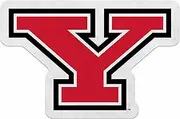 Rico Industries NCAA Youngstown Penguins Primary Shape Cut Pennant - Home and Living Room Décor - Soft Felt EZ to Hang