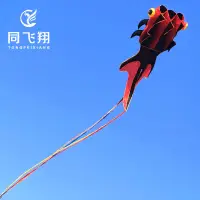 在飛比找蝦皮商城精選優惠-同飛翔風箏金魚3D立體軟體易飛大型超大高檔大人專用抗大風特大