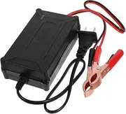 Acid Battery Charger for Electric Sprayer Car Battery Maintainer Sprayer