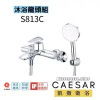 在飛比找蝦皮購物優惠-Caesar 凱撒  S813C 沐浴龍頭 蓮蓬頭 淋浴龍頭