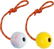 2 Pack Dog Ball, K9 Ball on Rope for Reward, Fetch, Play (6cm)