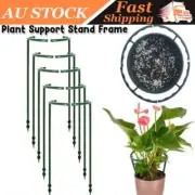 8PCS Stakes Plant Support Stand Frame Garden Climbing Trellis Flowers Stand CaSW