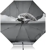 [PDZRMY] Hedgehog Bathtub Funny UV Protection Travel Umbrella Compact for Rain and Sun - Auto Open and Close UPF 50+ Windproof Portable 46” Sun Umbrella for Women and Men