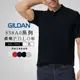 GILDAN【原廠正貨 附發票】吉爾登 858A0 亞規頂級柔棉POLO衫 素面POLO衫 短袖
