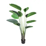 [Florabelle Living] Bird Of Paradise Tree 1.5M