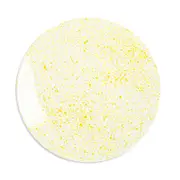 Non Sans Raison Splash Dinner Plate