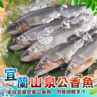 在飛比找ihergo愛合購優惠-免運!【歐嘉嚴選】特選宜蘭頂級公香魚-大尾的 淨重980g/