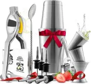Bar Set Cocktail Shaker Set, Stainless Steel Mixology Bartender Kit, 16 Piece...