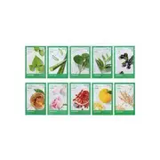 innisfree - Energy Mask - 10 Types 2023 Renewal Version - Oatmeal