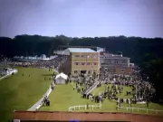 Horse Racing Paddock scene at Goodwood Racecourse Old Historic Photo