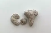 Naturally Letter Shaped CAT Beach Stones Rocks pebble art craft word sign Hag