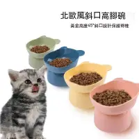 在飛比找蝦皮購物優惠-【Loki】斜口高腳寵物碗 北歐風 寵物碗 飼料碗 高腳碗 