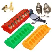 16 Holes Feeder Storage Trough Quail Drinker Plastic Wild Chick Birds Pigeons