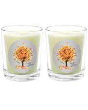 Qualitas Candles Fresh Fall Morning Two Scented Beeswax Candle Set