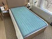 shieldgreen Grounding Queen Mat-Stainless Steel Fabric, 59x79 inch (Mint)
