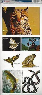 Endangered Species Removable Wall Art Decals USPS Stamp