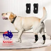 Pet Dog Knee Support Brace Leg Hock Front Back Adjustable Ankle Joint Protector