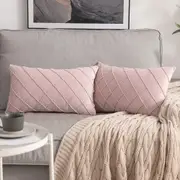 Velvet Throw Pillow Square Soft Couch Pillows Set of 2 (Inserts + Pillow Covers, Pink)