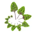 12PCS Plastic Model Trees Architectural Models For Railroad Layout Garden La FD