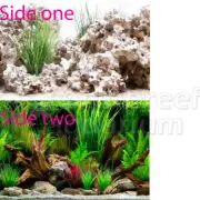 Cloudstone Holey Rock/Wonderscape 12" Inch Aquarium/Terrarium Background