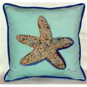 Betsy Drake ZP604C Starfish - Teal Indoor & Outdoor Throw Pillow- 22 x 22 in.
