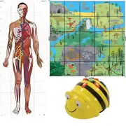 TTS Bee-Bot Robot with 2 Activity Play Mat STEM Coding Toy Robotics for Kids 3+