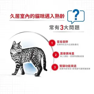 寵過頭-法國皇家【IN+7 室內熟齡貓3.5KG】老貓配方 、老貓飼料ROYAL CANIN