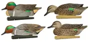 Avian X AVXAVX8081 Topflight Teal Species Multi-Color