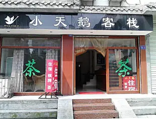 都江堰小天鵝旅店