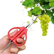 Multifunctional Grape Scissors | Stainless Steel Grape Tweezers 2 In 1- Professional Grape Pruning Shears Stainless Steel Fruit Branch Picking Scissors with Tweezers