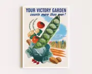 Food Poster Kitchen Poster Mid Century Print Vegetable Art Ad Poster