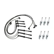 Bosch Ignition Leads + 6x Denso Iridium Power Spark Plugs for Ford Telstar AX AY