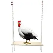 Chicken Toy for Large Chicken Coop, Chicken Enrichment Toy for Hens and Swing