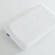 Ecosa Classic Foam Pillow - Standard