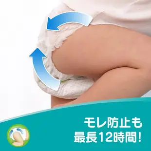 PAMPERS 日本幫寶適全新巧虎紙尿布S82(箱/4包)