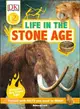 Life in the Stone Age