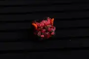 Handmade Keycap Artisan | Phoenix Reborn | MOBA GAME | GI-08 CODE | Resin | 1U