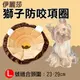 焦點攝影@伊莉莎白防咬項圈-獅子款 L號 中小型犬 防抓防咬防舔 寵物美容脖子頭套 安全耐用 簡單方便 舒適柔軟 造型可愛