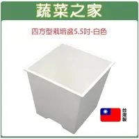 在飛比找momo購物網優惠-【蔬菜之家】四方型栽培盆5.5吋-白色厚(花盆 塑膠花盆 蔬