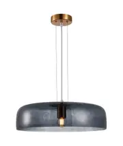 Gelatina Interior 1 Dome Glass with Brass Highlight Pendant Light Smoky Black
