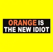 Funny "ORANGE IS THE NEW IDIOT" Anti Donald Trump BUMPER STICKER black decal