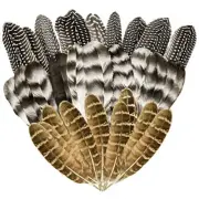 Natural Turkey Spotted Feathers 30Pcs Pheasant Feathers for Crafts DIY Hat USA!