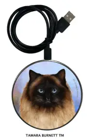 Himalayan Cat Zoomies Phone and Device Charger