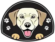 Personalized Stainless Steel Dog ID Tag Name Plate Anti-Lost Pet Name Tag Pendant Custom Engraved Cat and Dog Nameplate Label Pet Collar Supplies Accessories,Labrador,Rose Gold