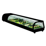 Thermaster Sushi Showcase - Countertop Prep Fridges (SSS7) - SSS7