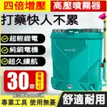 電動噴霧器 鋰電噴霧器 農藥消毒噴霧器 噴農藥 充電式電動噴霧器 高壓小型噴霧機 背負式 鋰電池打藥神器 全自動農用