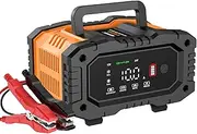LiFePO4 Intelligent Battery Charger 10A 12V 24V LiFePO4 Battery Chargers for Car, Motorcycle, Truck, AGM, Gel, Wet, SLA