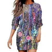 Women's Mini Dress Shift Dress Casual Vacation Holiday Going out Regular Fit Floral Graphic Geometric Long Sleeve Crew Neck Rusty Red Purple khaki Fall Winter