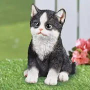 Realistic Detail Sitting Black & White Tuxedo Kitten Cat Outdoor Garden Statue